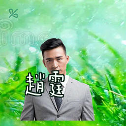 赵霆